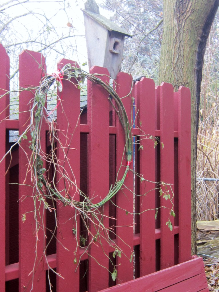 Rustic wreath on the shed in our backyard