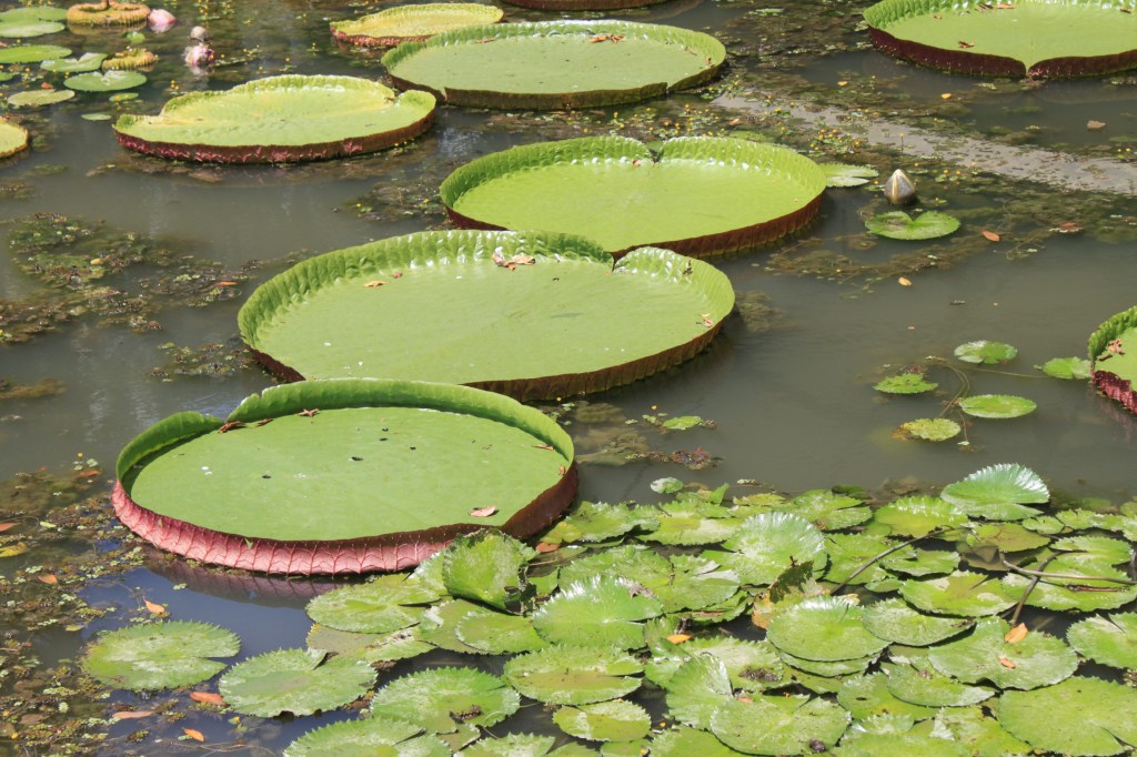 Goodbye to all&nbsp;that