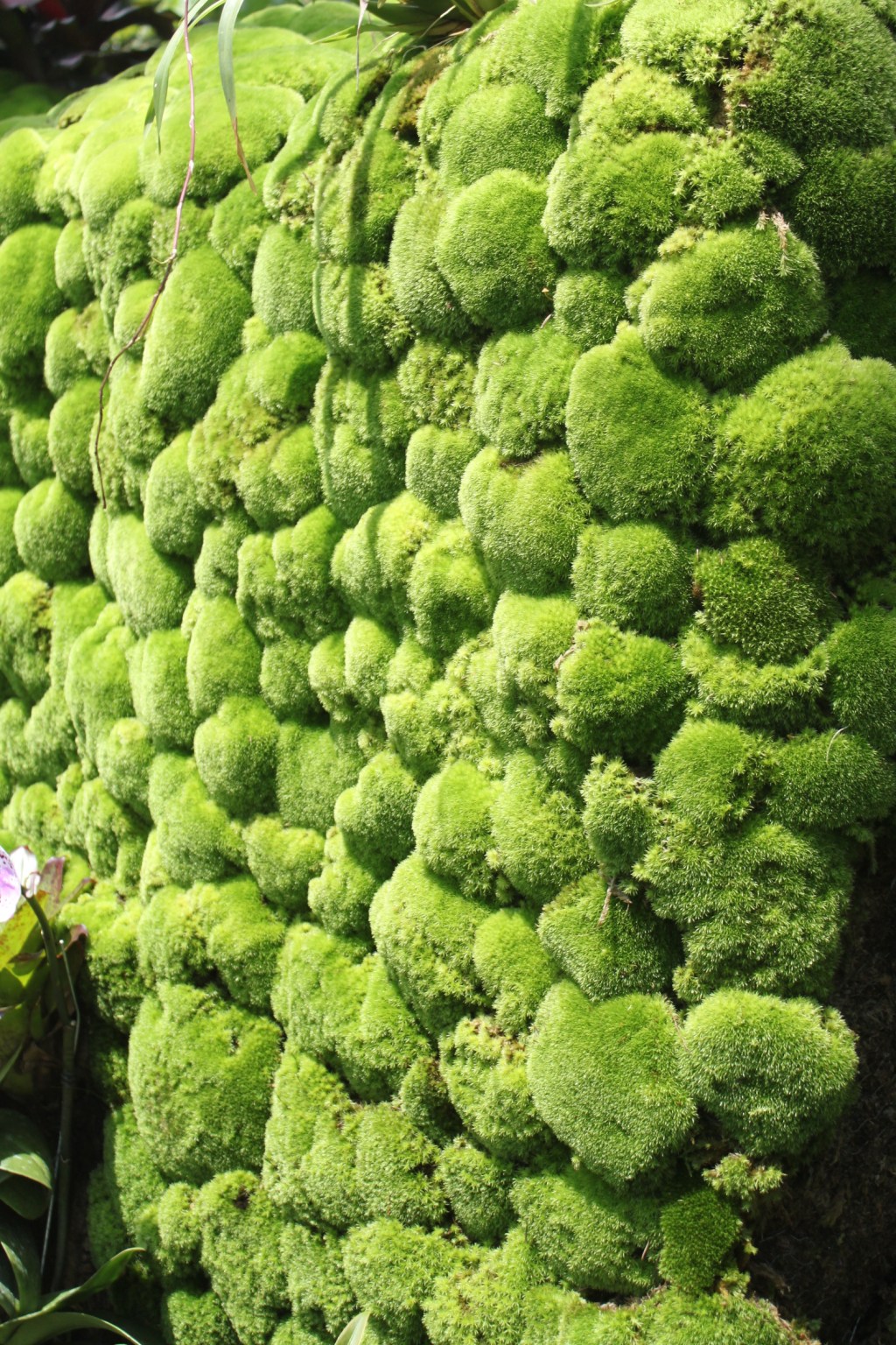 Gardens by the&nbsp;Bay