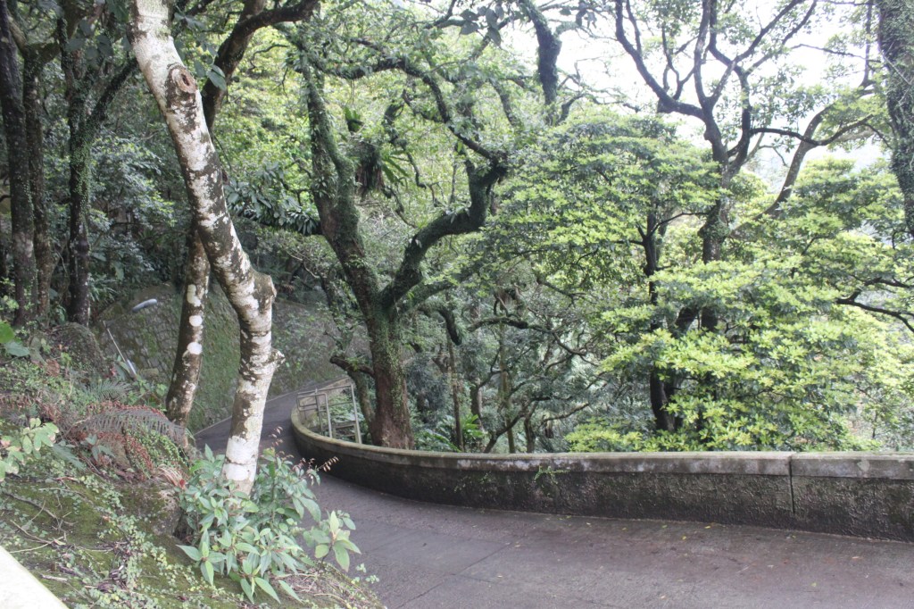 Walking a Tight Rope