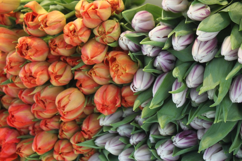 War and Peace in Münster