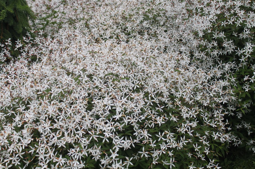 Coastal Maine Botanical Gardens