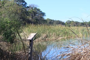 Lake Maggiore Island